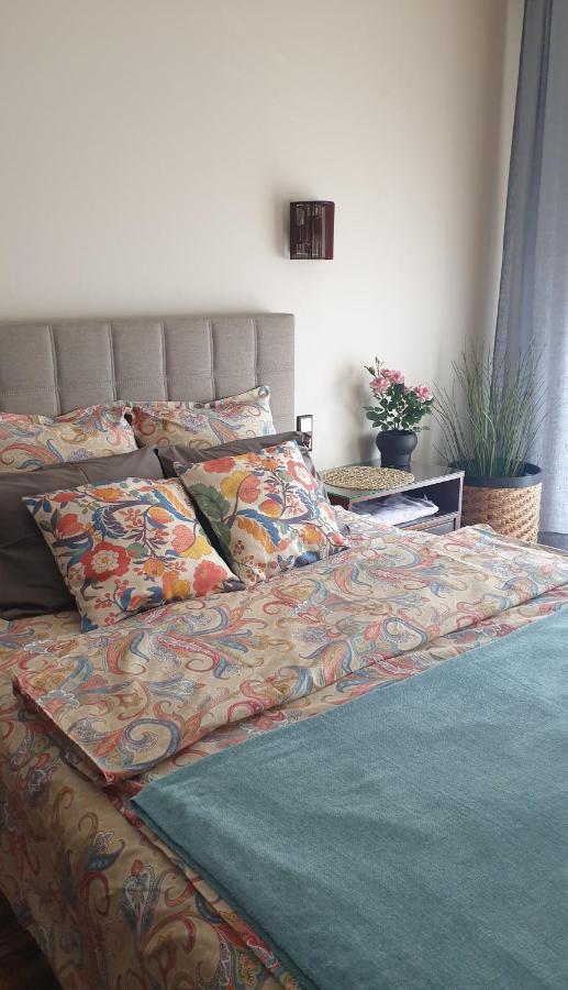 Apartament Moderna Francuska Park คาโตวีตเซ ภายนอก รูปภาพ
