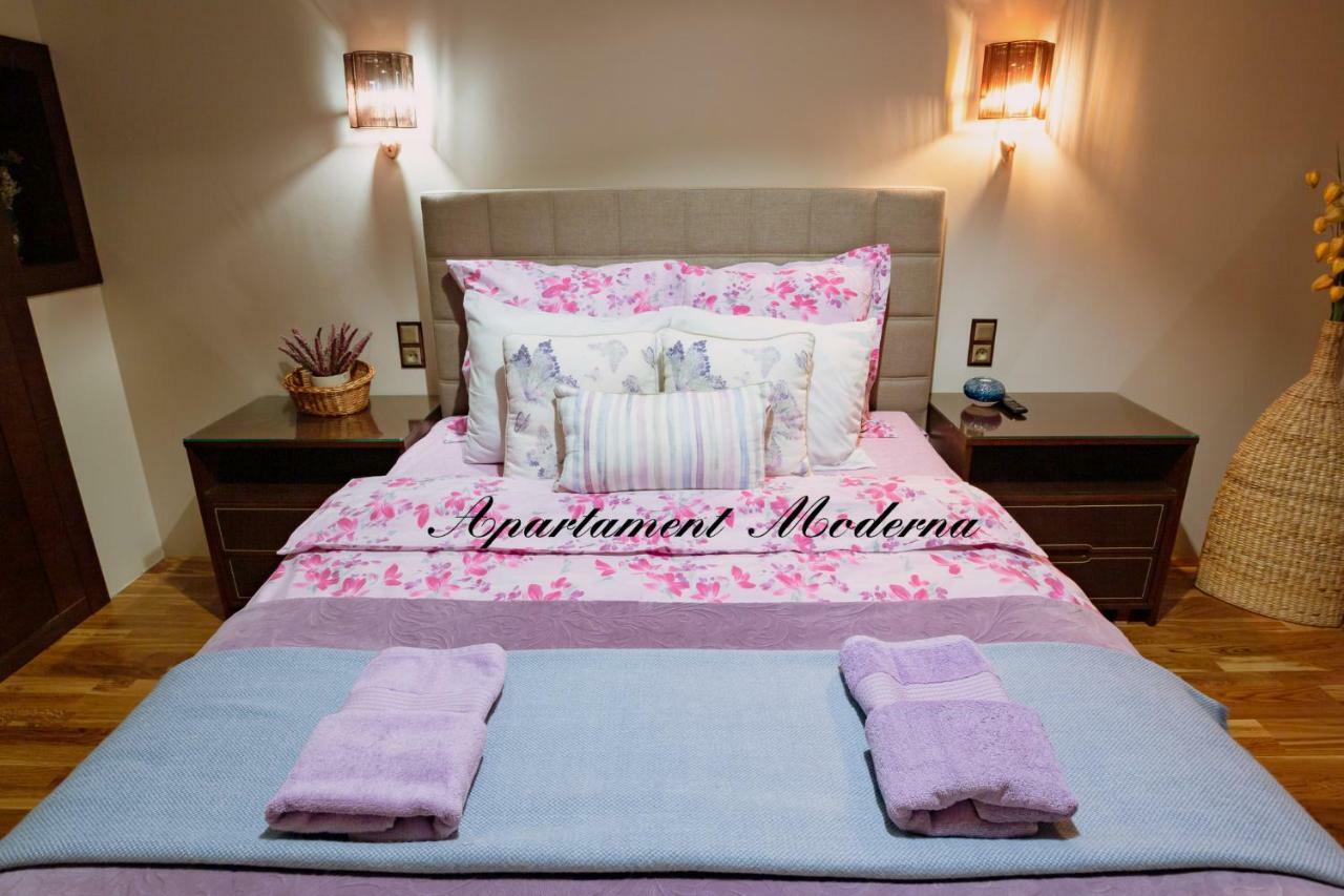 Apartament Moderna Francuska Park คาโตวีตเซ ภายนอก รูปภาพ